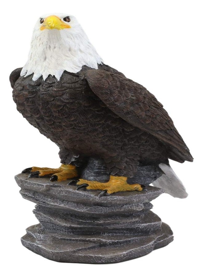Ebros Gift Ebros 9" Tall Realistic American Pride Majestic Bald Eagle Perching On Cliff Rock Statue USA National Emblem Eagles Independence Day American Gallery Quality Home Patio Decor Figurine - Image 5