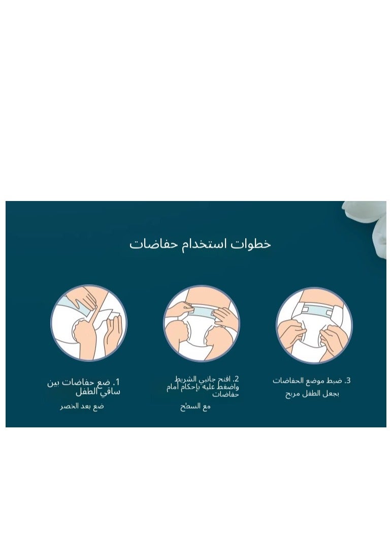 Diaper Rash Leak Protection Baby Regular Diaper Size 3 8-9.5 kg With Camellia Oil  - Image 2
