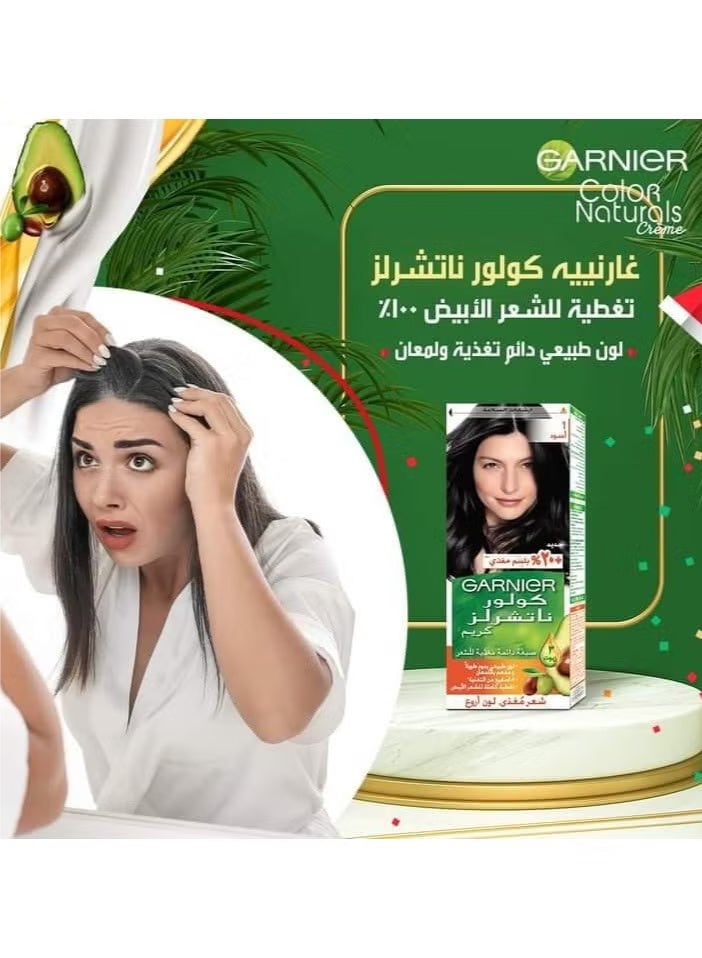 غارنييه صبغة كريم دائمة للشعر كولور ناتشورالز من غارنييه - 1 أسود 112 مل - Image 2