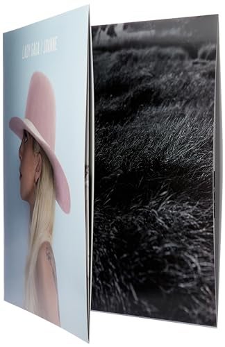 INTERSCOPE Joanne[2 LP] - Image 3