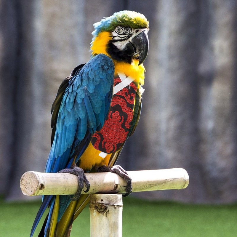 Diaper Elastic Bird Clothes Parrot Bird Flight Suit Pet Birds Decor - Image 2