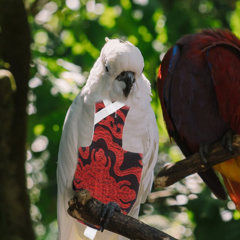 Diaper Elastic Bird Clothes Parrot Bird Flight Suit Pet Birds Decor - Image 1