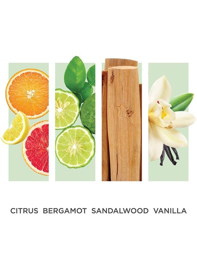 By Rosie Jane Oil Roll-On Perfume (Lake) - Clean Fragrance for Women - Essential Oil Vial with Notes of Citrus, Bergamot, Sandalwood, Vanilla - Paraben Free, Vegan, Cruelty Free, Phthalate Free (7ml) - Image 2