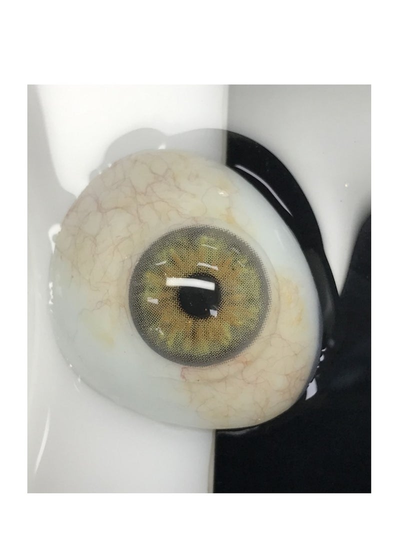 عين كي اس اس عدسات لاصقة تجميلية سنوية كليوباترا رمادية اللون للجنسين، مجموعة تكبير مع علبة - Image 2