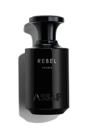 REBEL perfume from Assaf 100 ml - pzsku/Z8FB8F25770E898D826A6Z/45/_/1740951817/98226411-b42a-4d6c-9244-f54dc219cf80