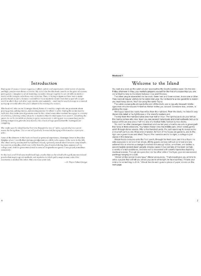 Montague Island Mysteries and Other Logic Puzzles  - Image 4
