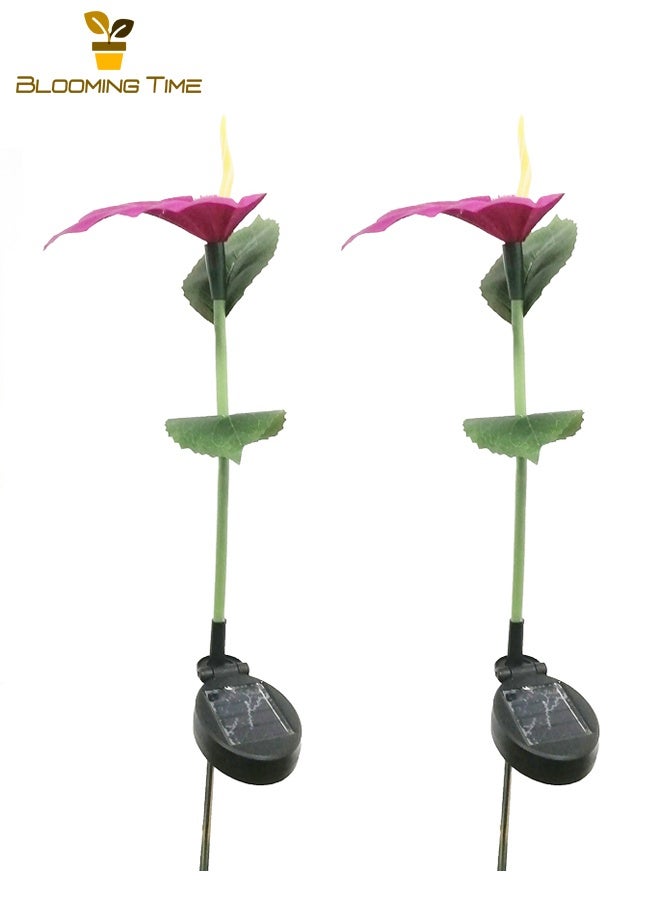 بلومنغ تايم اثنين من المصابيح الشمسية زنبق كالا الصمام الألياف البصرية الملونة زنبق كالا الفوانيس حديقة فناء الحديقة المنزلية للماء في الغلاف الجوي الديكور - Image 5