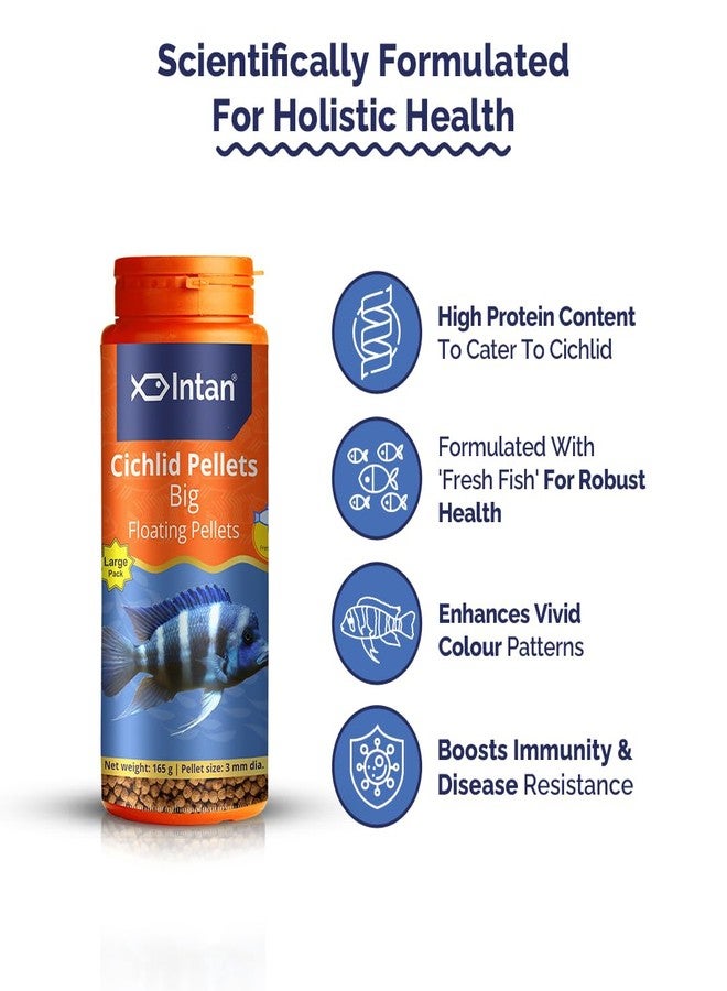 Intan Cichlid Pellets (Big 3mm Floating) | 165gm - Highly Nutritious Ornamental Fish Food for All Varieties of Small & Big Cichlids | Growel Feeds - Image 4