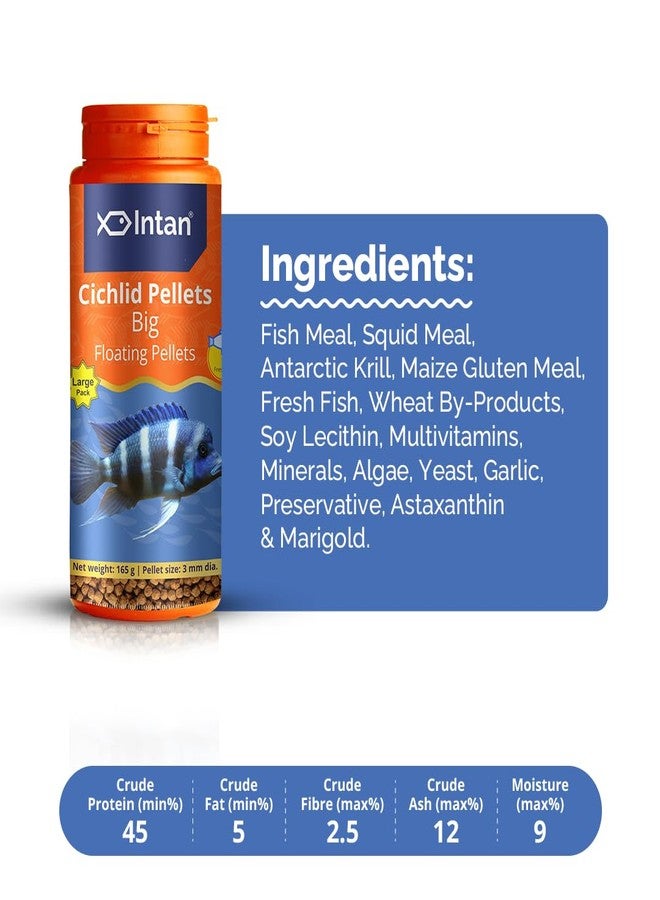 Intan Cichlid Pellets (Big 3mm Floating) | 165gm - Highly Nutritious Ornamental Fish Food for All Varieties of Small & Big Cichlids | Growel Feeds - Image 3