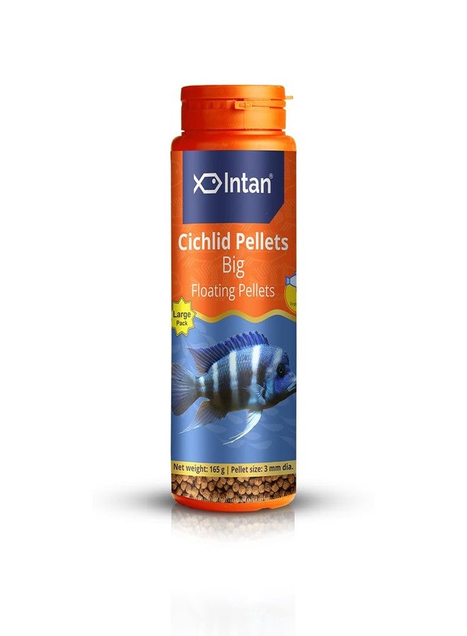 Intan Cichlid Pellets (Big 3mm Floating) | 165gm - Highly Nutritious Ornamental Fish Food for All Varieties of Small & Big Cichlids | Growel Feeds - Image 1