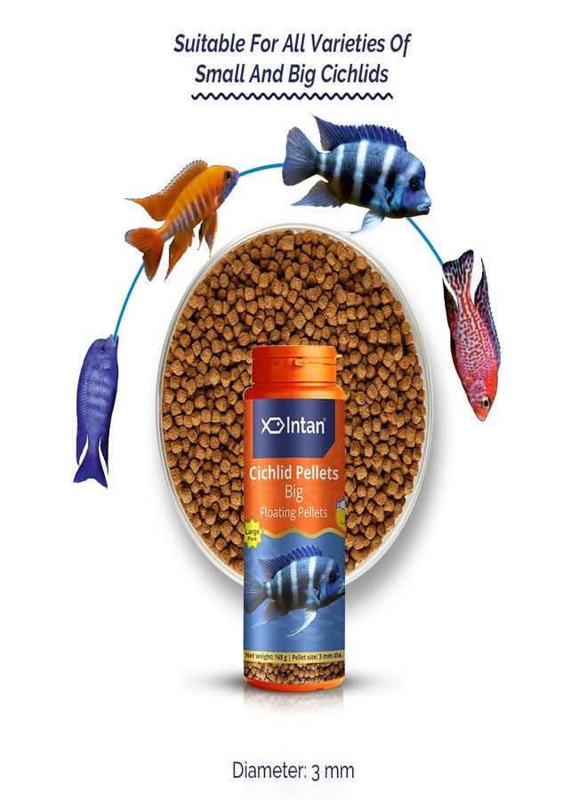 Intan Cichlid Pellets (Big 3mm Floating) | 165gm - Highly Nutritious Ornamental Fish Food for All Varieties of Small & Big Cichlids | Growel Feeds - Image 2