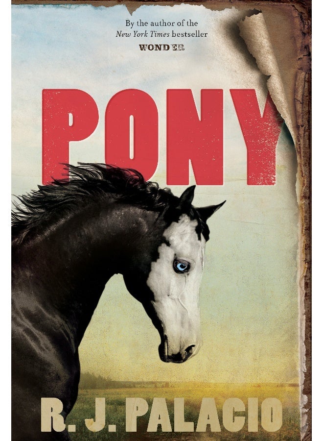 Knopf Pony - Image 4