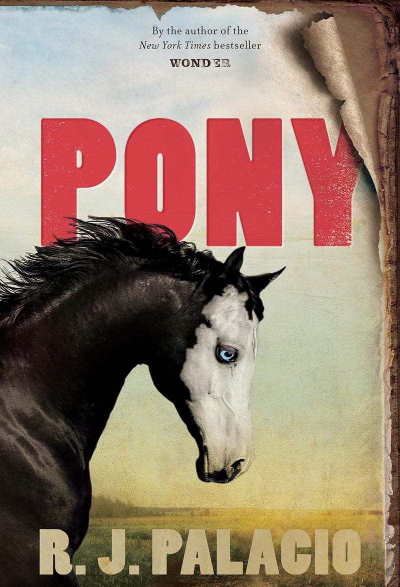 Knopf Pony - Image 1