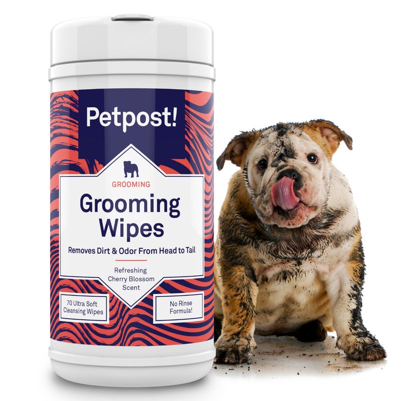 Petpost Large Grooming Wipes for Dogs | 70 Count Deodorizing Dog Cleaning Wipes with Coconut Extract & Aloe | Gentle Pet Wipes with Cherry Blossom Scent for Full-Body Grooming - Image 1