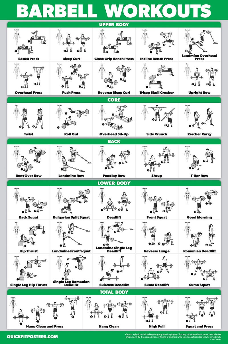Palace Learning ملصق تمرين باربل QUICKFIT من بالاس ليرنينغ - (مغلف، 18" × 24") - Image 1