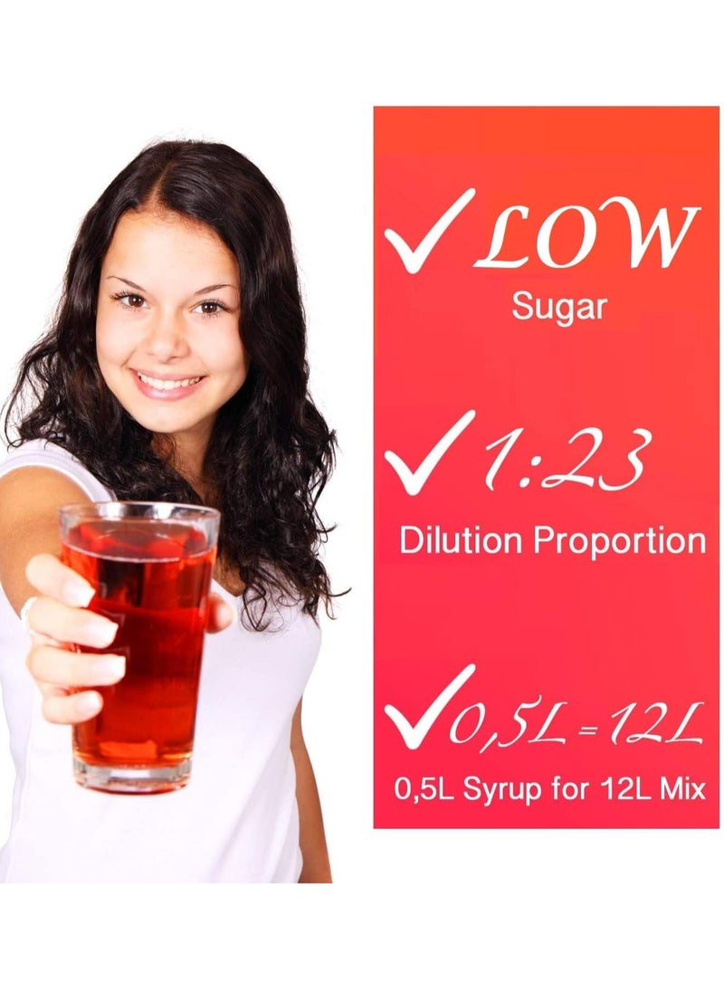 Fruttamax - FruttaMax - Syrup Concentrate | Less Sugar | Suitable for soda Machine 500ml (Tonic) - Image 1