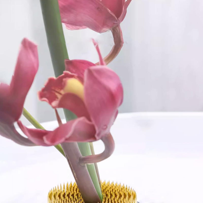 alladaga Flower Frog Stainless Steel Pin Frog Flower Arrangement Holder(2 Inch (50mm)) - Image 3