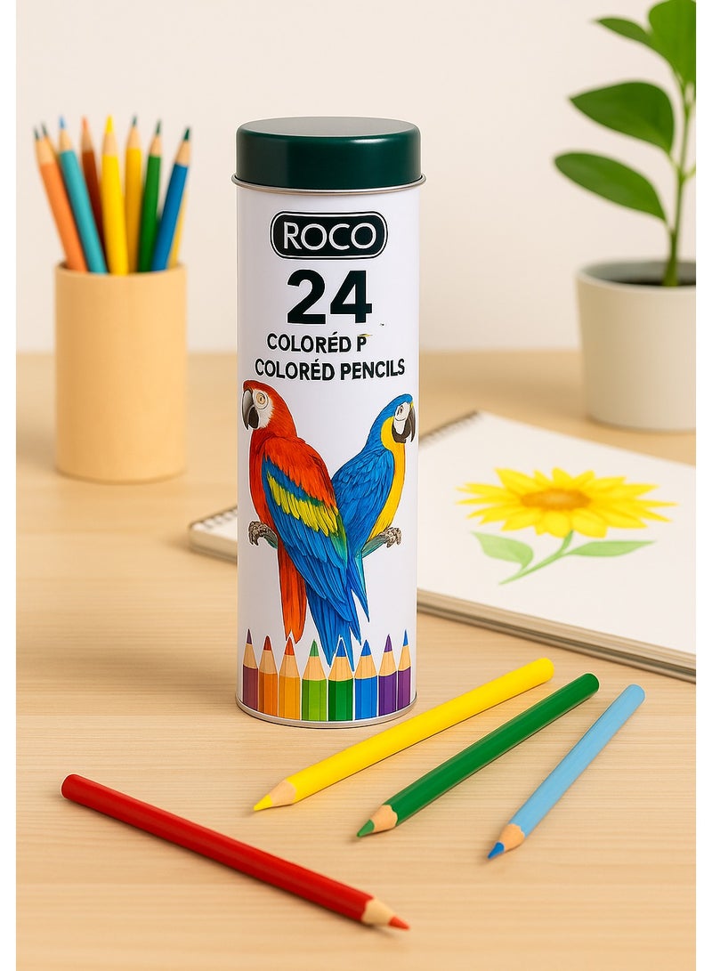 ROCO Water Color Pencils 24 Colors Set in Cylinder Box for Kids, Artists, School, Drawing, Sketching - Image 4