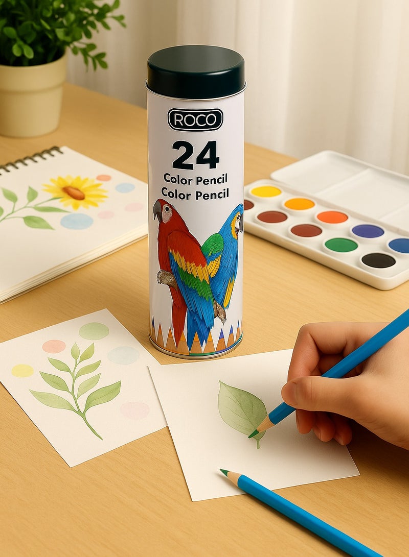 ROCO Water Color Pencils 24 Colors Set in Cylinder Box for Kids, Artists, School, Drawing, Sketching - Image 3