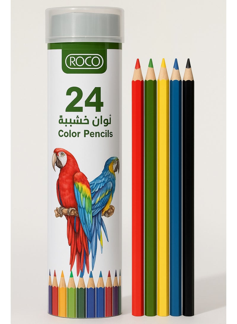 ROCO Water Color Pencils 24 Colors Set in Cylinder Box for Kids, Artists, School, Drawing, Sketching - Image 1