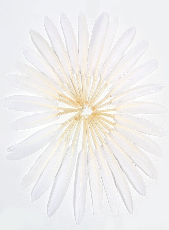 FeelfunFeather 120pcs White Goose Cochettes Feather Natural Bulk 4-6 inch 10-15cm for Wedding Party Christmas Halloween Decorations DIY Crafts - Image 3
