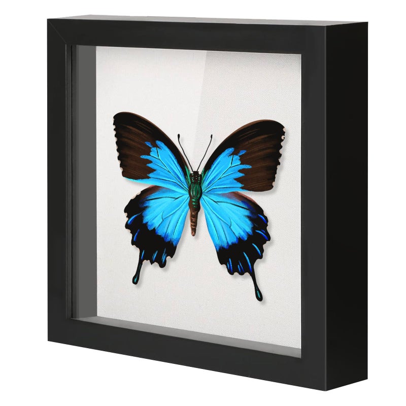 QDSSDECO QDSSDECO 12x12 Shadow Box Frame with Linen Backboard  Real Glass Wood Display Case Deep Showcase to Hang The Photos Tickets Wedding Bouquets Medals Baby Sports MemorabiliaBlack 