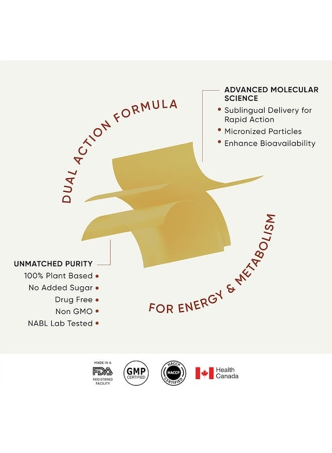 WELLBEING NUTRITION Melts Slim Expresso | Roasted Arabica Coffee, Garcinia Cambogia, Ginseng, Green Coffee | Supports Metabolism & Energy, Helps Control Appetite, Fatigue & Fat, 15 Oral Strips - Image 4