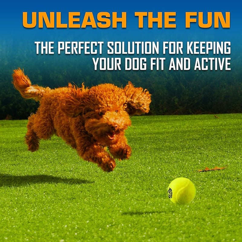 نيرف دوج Nerf Dog Tennis Ball Blaster - Image 3