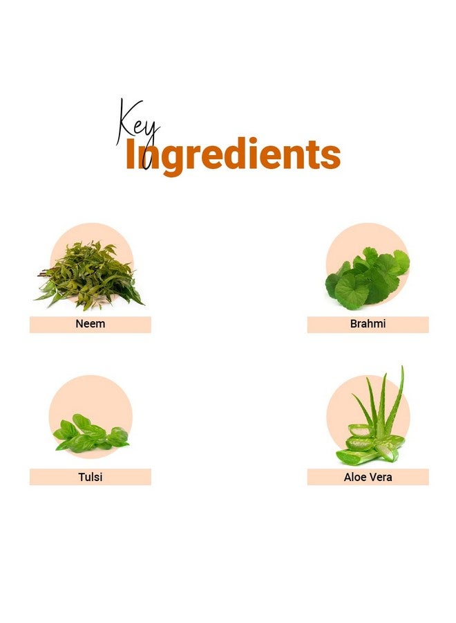 Vedic Line Vedicline Anti Acne Skin Care Combo, Fades Acne, Scars & Pimple with Neem & Brahmi for Healthy Skin, Christmas & New Year Gifts, 420ml - Image 3