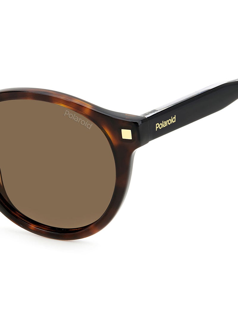 Polaroid - Men's UV Protection Round Sunglasses - Pld 4150/S/X Hvn 50 - Lens Size: 50 Mm - Image 1