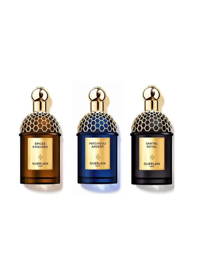 Guerlain Absolu Allegoria Winter Collection - Set 1 (Apex Exquisite + Patchouli Ardente + Sandal Royale) 125ml