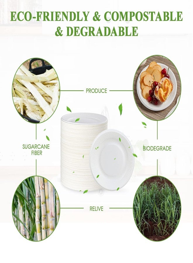 Vplus 100% Compostable Small Paper Plates, 300 Pack 6 Inch Disposable Paper Plates, Uncoated Biodegradable, Made of Sugar Cane Fibers, Perfect for Sandwich, Cake, and Snack - Image 5