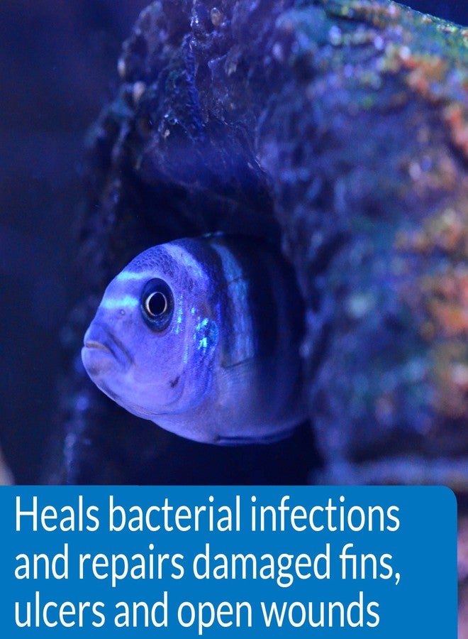 API MELAFIX Freshwater Fish Bacterial Infection Remedy 4-Ounce Bottle - Image 4