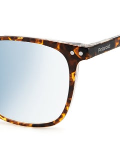 Polaroid Unisex Reading Glasses - Pld 0029/R/Bb Havana Crystal 50 - Lens Size: 50 Mm  - Image 5