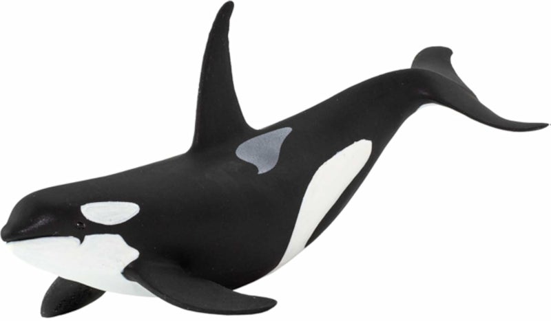 Safari - Orca Animals Animals, Multicolor (S100232)