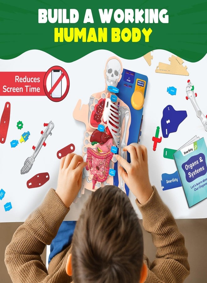 سمارتيفيتي نموذج تفاعلي لجسم الإنسان من سمارتيفيتي للأطفال من 8 إلى 14 عامًا | أجزاء وأعضاء الجسم المتحركة + كتيب تعليمي | هدية عيد ميلاد للأولاد والبنات | لعبة تعليمية للأعمار من 8 إلى 14 عامًا - Image 2