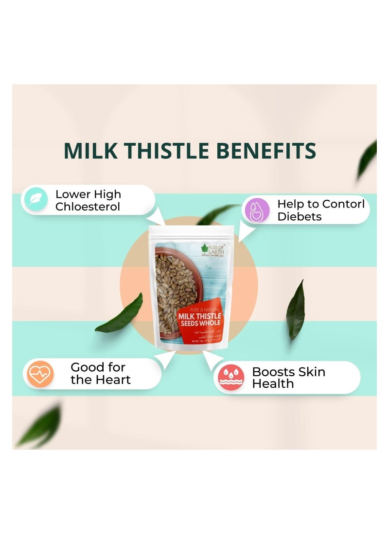 BLISS OF EARTH Milk Thistle Seeds Organic Super Food for Liver Cleansing, Immunity Booster Milk thistle Tea 500gm pack of 3  - Image 4