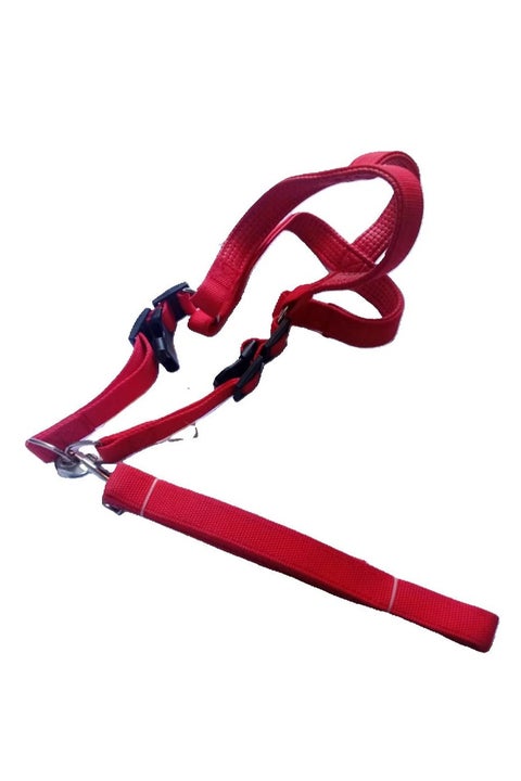 طقم طوق ومقود للكلاب – باللون الأحمر