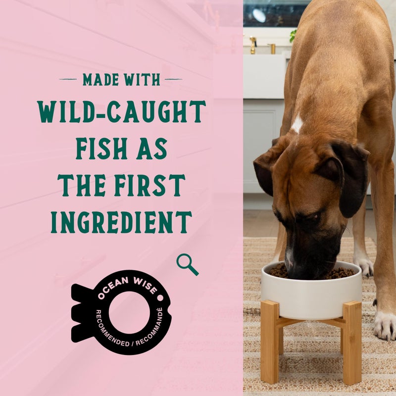 Open Farm Goodbowl, Oven-Baked Small Batch Dry Dog Food - Wild Caught Salmon & Brown Rice Recipe, Includes Non-GMO Produce & Grains, 3.5lb Bag (56oz Bag) - Image 3