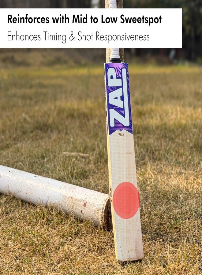 ZAP Pro Kashmir Willow Cricket Leather Bat (Size SH-Full (33.5in)) | Professional Cricket Bat for Leather Ball | Includes Scuff Sheet & Cover | Shock-Absorbing Handle | for 15+ Years - Image 3