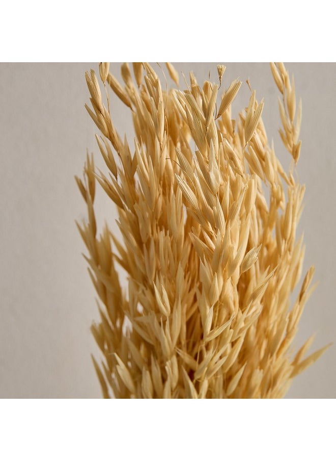 Home Box Seyna Misc Stock Hawana Grass 10 x 60 x 2 x cm  - Image 3