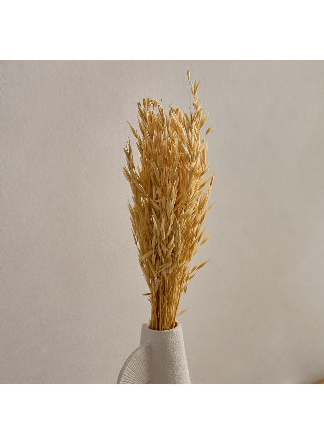 Home Box Seyna Misc Stock Hawana Grass 10 x 60 x 2 x cm  - Image 2