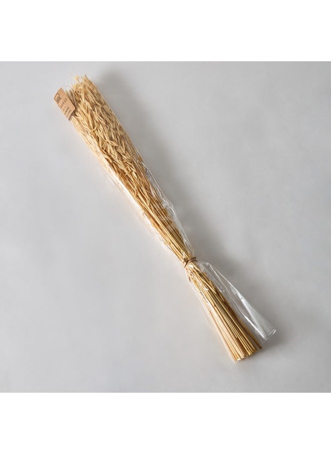 Home Box Seyna Misc Stock Hawana Grass 10 x 60 x 2 x cm  - Image 5