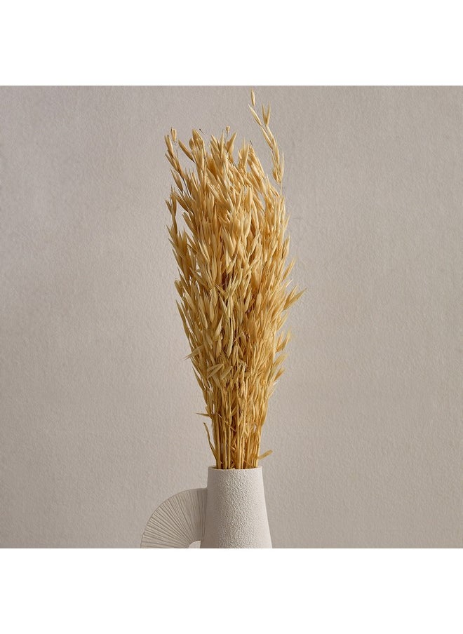 Home Box Seyna Misc Stock Hawana Grass 10 x 60 x 2 x cm  - Image 1