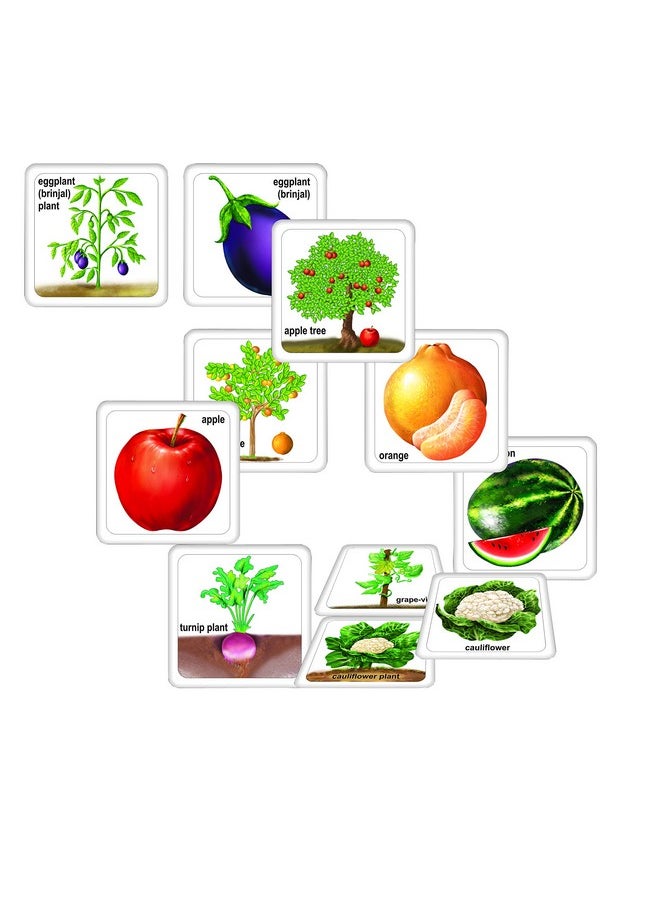 Creative's Creative’s Fruits Vegetables & Their Plants | Learn The Importance of Fruits & Vegetables in Our Daily Life| Memory Games | Learning & Educational | Educational Toys | Ages 4 & Up  - Image 2