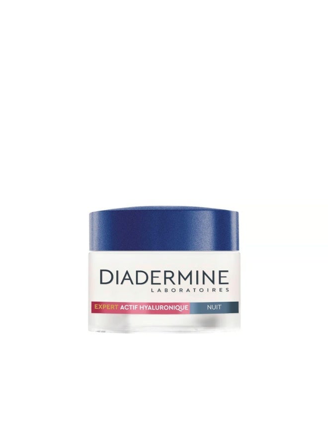 Diadermine Expert Actif Hyaluronique Plumping Night Cream 50ml - Image 1