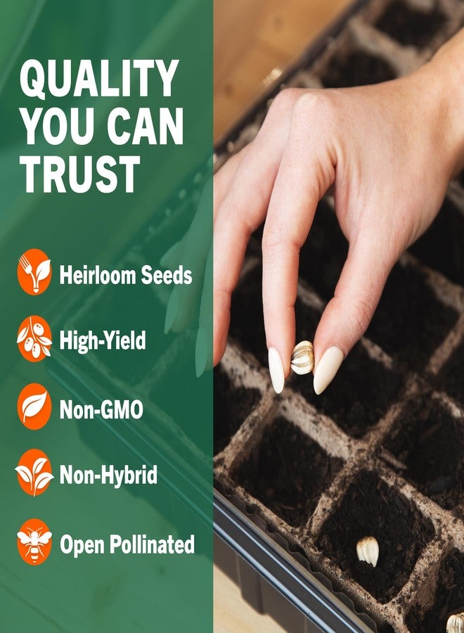 Open Seed Vault 15,000 Non GMO Heirloom Vegetable Seeds for Planting Vegetables and Fruits - 32 Variety Pack of Vegetable Seeds for Gardening, Survival Gear, Seed Vault Emergency Supplies Kit - Image 4