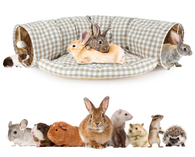 BWOGUE Bunny Tunnel Bed, 2-in-1 Collapsible Tunnel Tubes Toys with Removable Mat Hideout for Cats Kittens Rabbits Guinea Pigs Kitty - Image 1