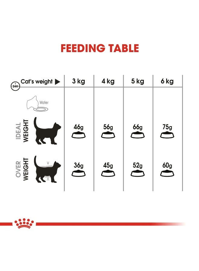 Royal Canin Feline Care Nutrition Dental Care Dental Care Dry Cat Food Bag 1.5kg - Image 2