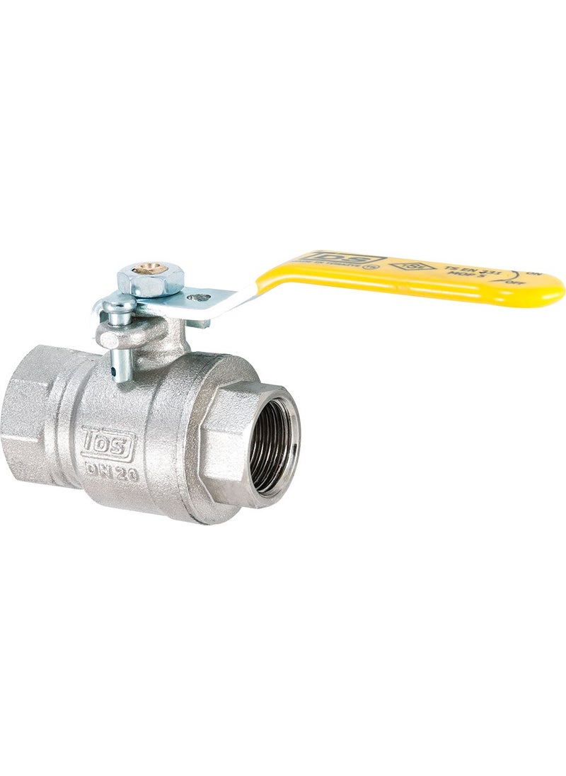 TDS 3/4'' Locking Natural Gas Valve  - Image 1